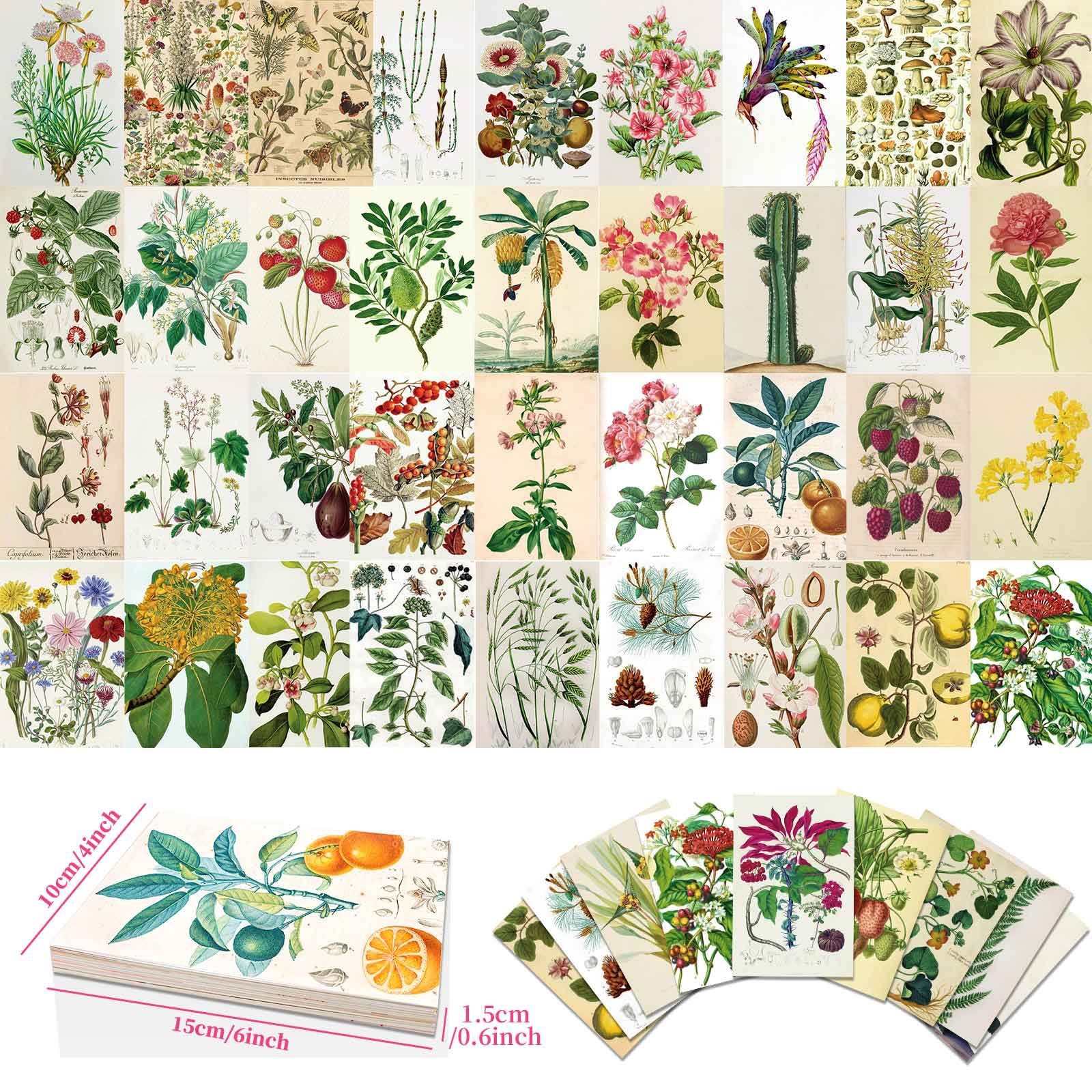 50張花草混搭卡片暖心留言卡明信片藝術簡約花間故事牆面裝飾卡片