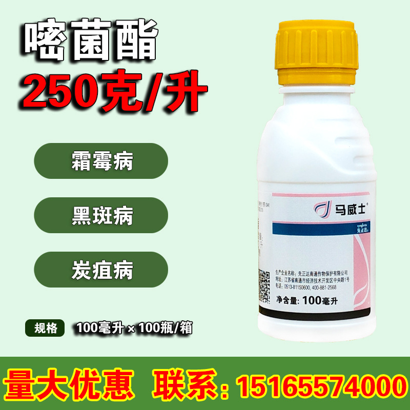 阿米西达 升级版 先正达嘧菌酯黄瓜黑星蔓枯病霜霉病白粉病农药