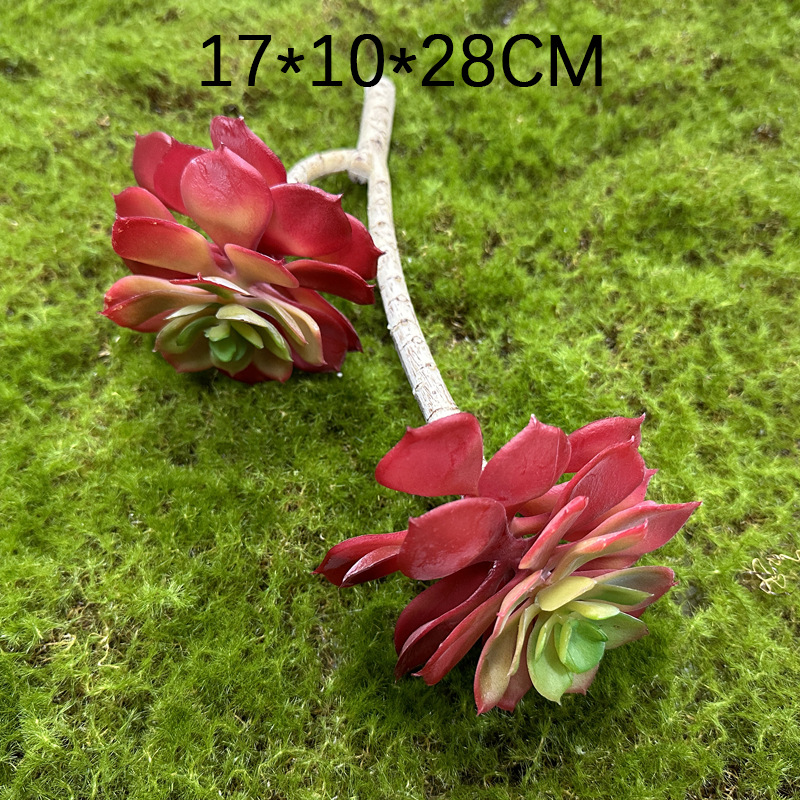 Marco decorativo Planta nórdica colgante de pared decoración de pared colgante de pared tridimensional pared de fondo de planta verde pared cabeza de ciervo simulación suculento planta verde