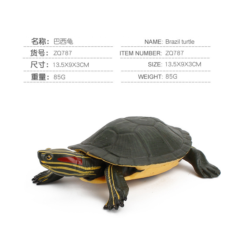 787 Tortuga de Brasil 0,09 kg