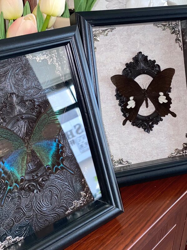 Specimen Photo Frame, Real Glass Hollow 2cm Wooden DIY Handmade Butterfly Ornament Hollow Photo Frame