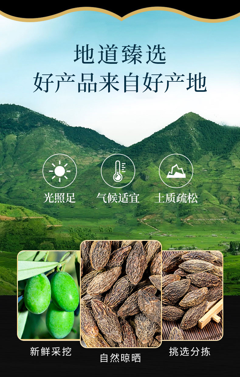 Xi Qing Guo (Terminalia chebula) — Dried Food Herb for Tea & Throat Care overview