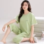 加大码夏季女士新款家居服