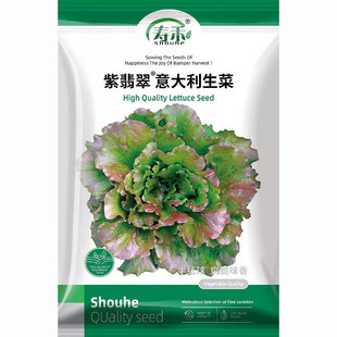 �����������ͳ�̦���˷N�Ӱ�Y������͟�N������ļ��߲˷N��