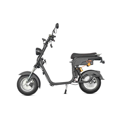 Domestic Delivery Manufacturer Cp-2, Elektrikli motosikletlər