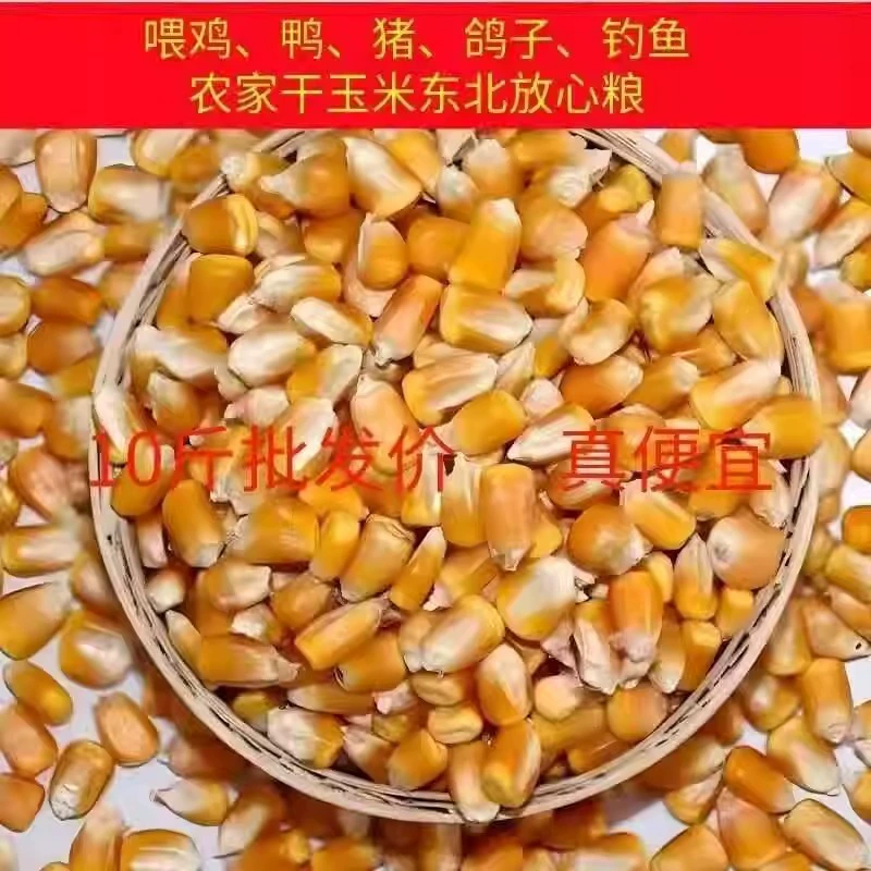 2024 новое зерно Северо-Восточная Африка, сушеная кукуруза без ГМО, 5 фунтов, 5kg г., корм для птицы, рыбалка, гнездование, разведение