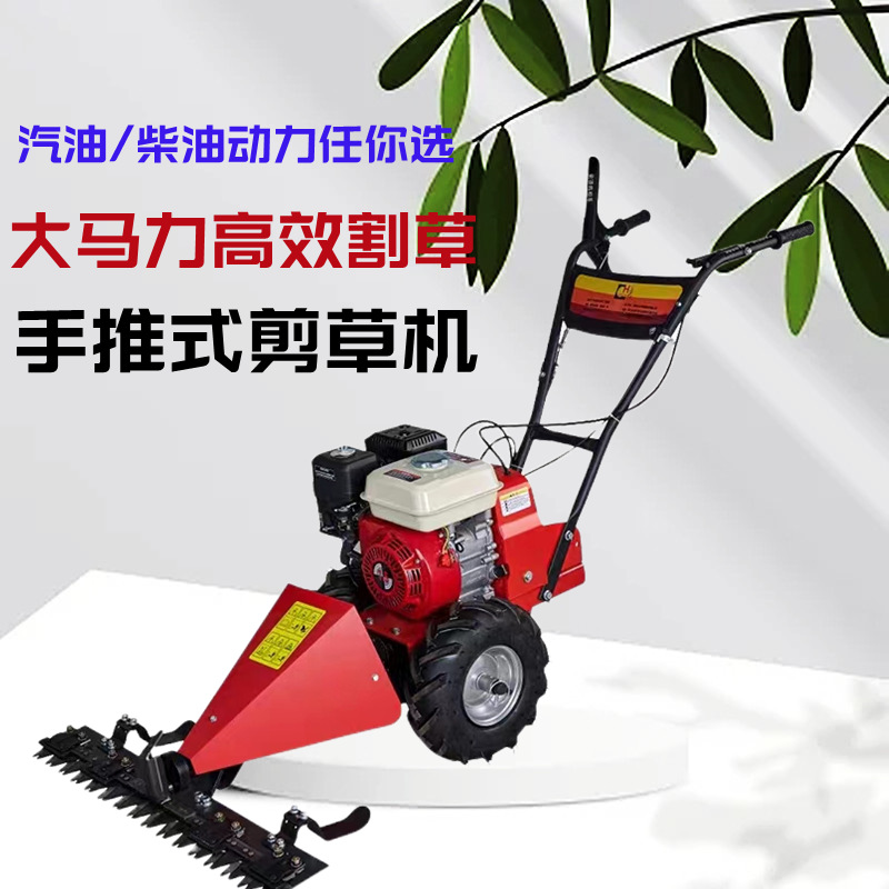 微信图片_20230410091642_副本01