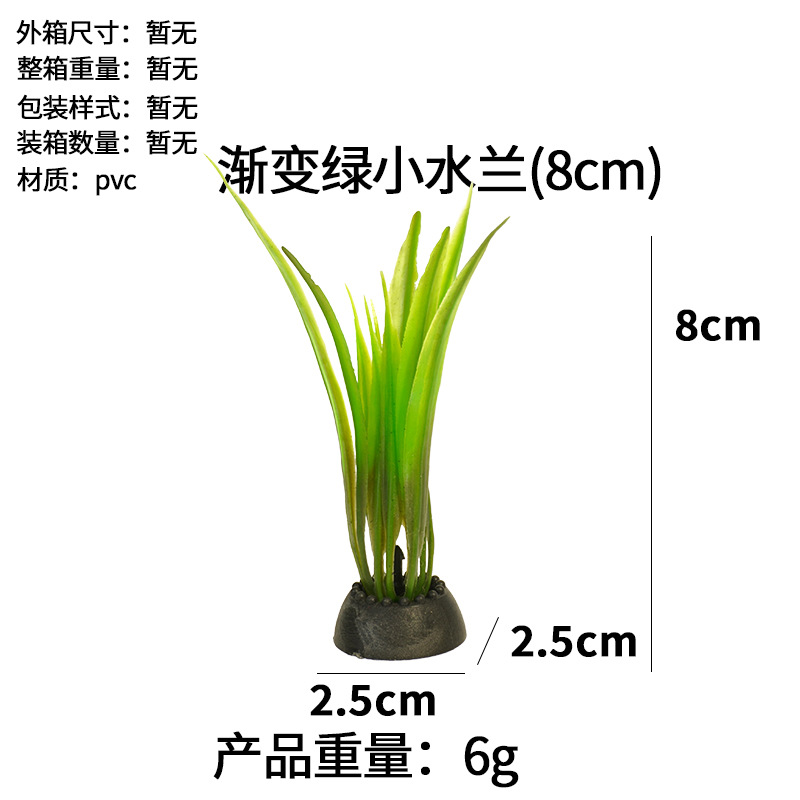 Pequeña orquídea de agua verde degradada (8cm)