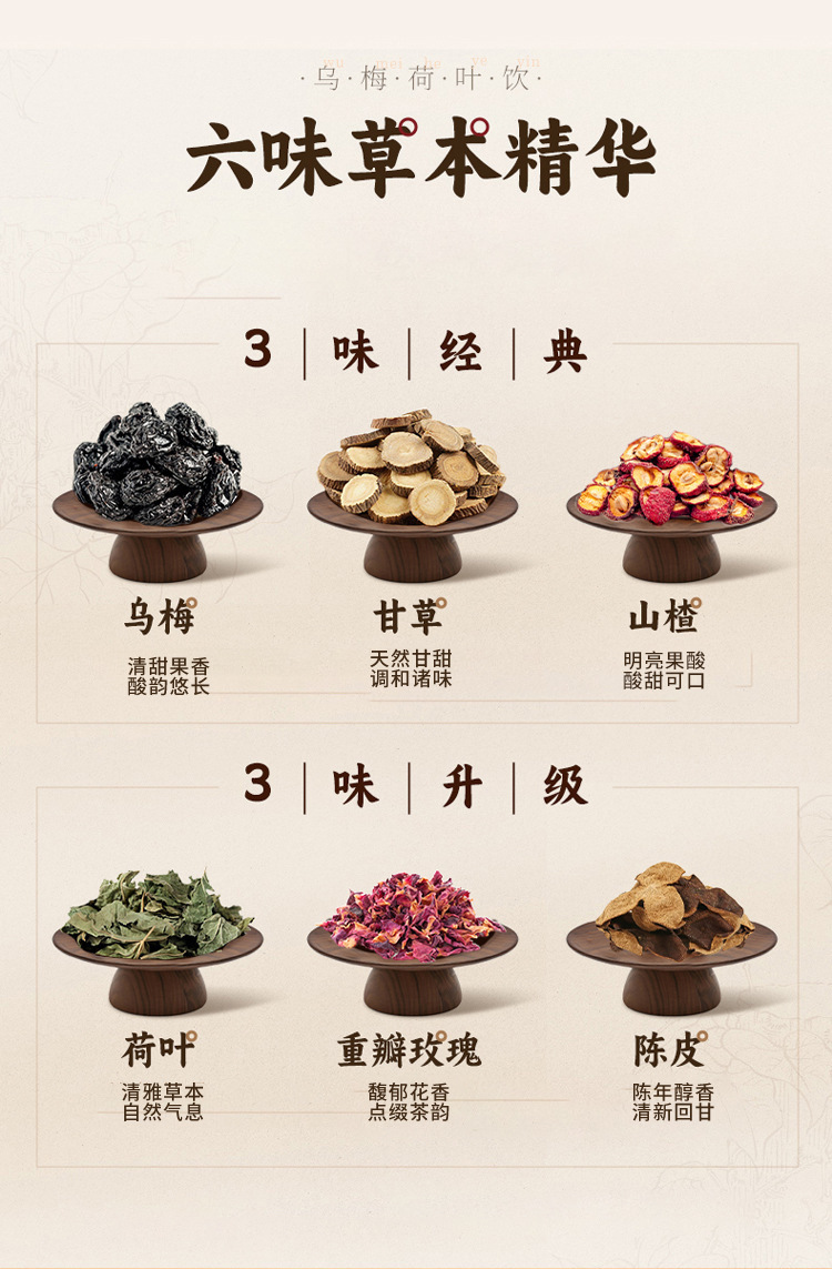 Wumei Tang 2.0 Dark Plum Lotus Leaf Herbal Tea 10 Teabags Summer Wellness Drink key features