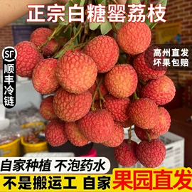 速冻中式面点;传统糕点;荔枝