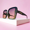 Classic sunglasses, 2023, simple and elegant design