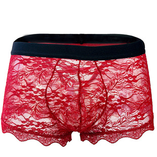 Tzy956P men's sexy underwear wholesale lace back lace transparent mesh low waist small boxers