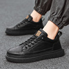 Trend sneakers, universal casual footwear, trend of season, Korean style, soft sole