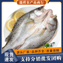 ���|�~�_�����r����r����|�~���~�R�~ˮ�a���~���Ʒ���ð��]