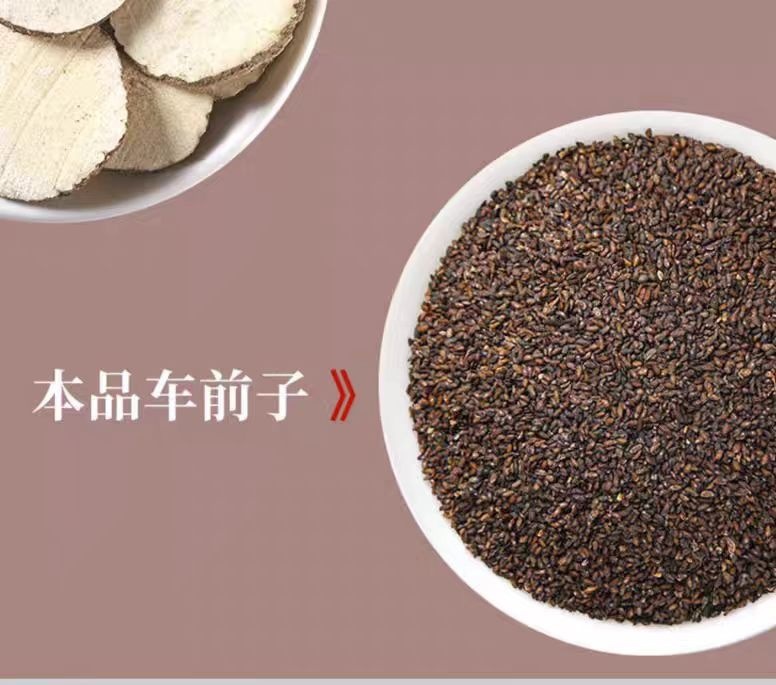 Plantain Seed (Plantago asiatica) — Dried Che Qian Zi Food Herb, 500g key features