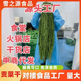 脱水蔬菜;其他蔬菜制品