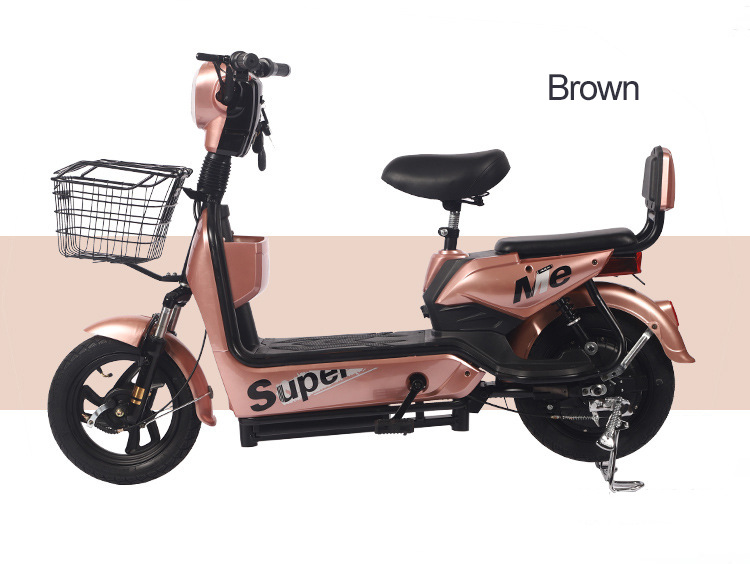 Electric Bicycle for Adults, Men and Women, Long Range