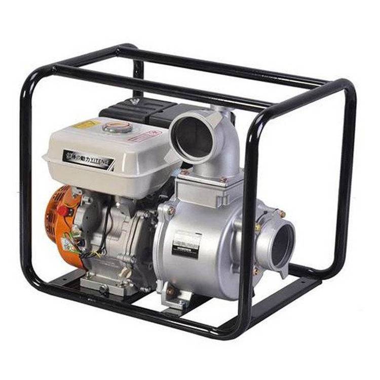 15汽(柴)油机泵 (10)