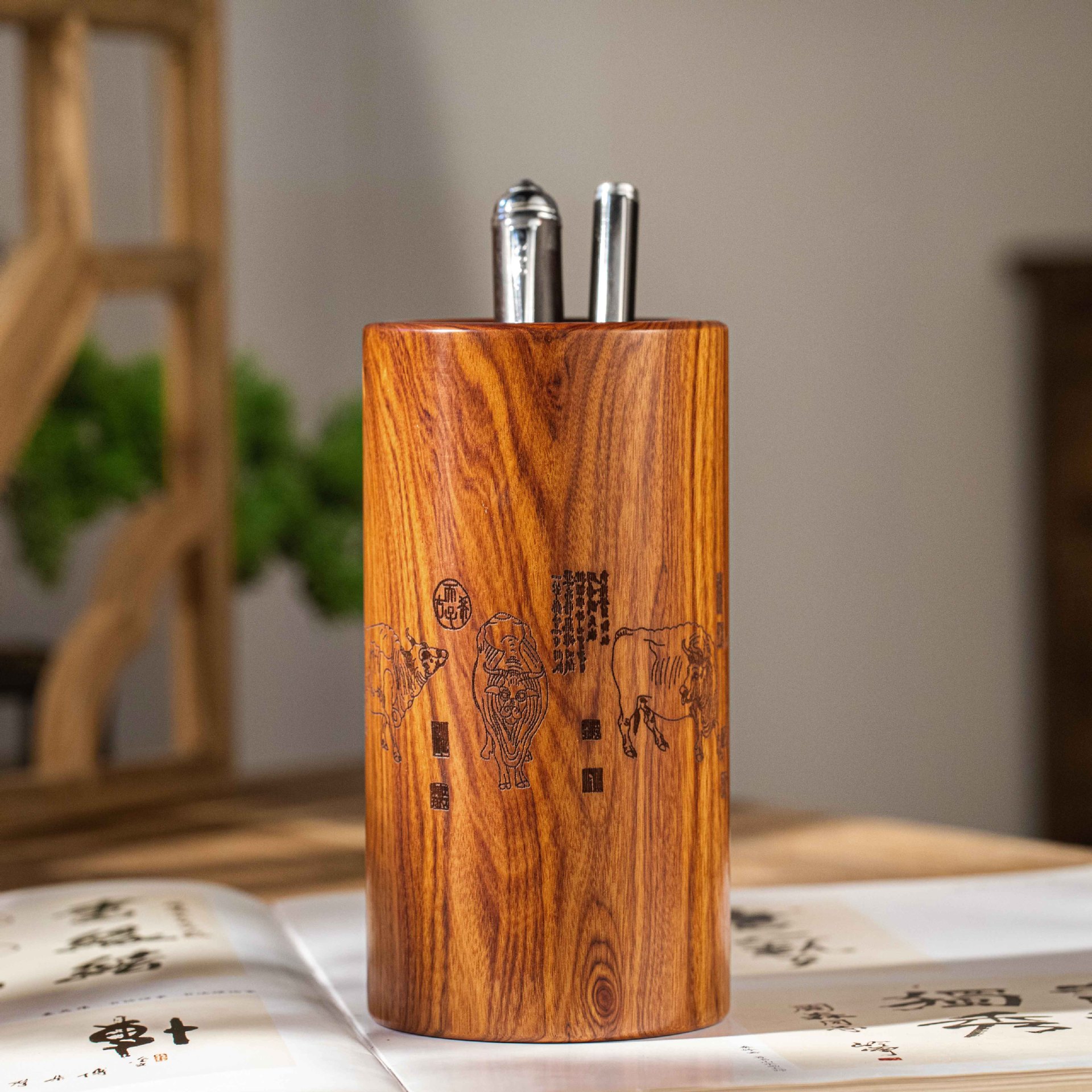 중간 라운드 펜 홀더-5 개 소 차트 (사워 가지 우드)