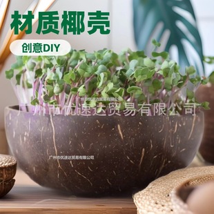 �W�������������ֲ��Ҭ������A�������������Ի���͸ˮ͸��羳