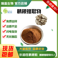 瑞盈供应 葛根提取物10:1 葛根粉 葛根原料粉末 量大从优 现货