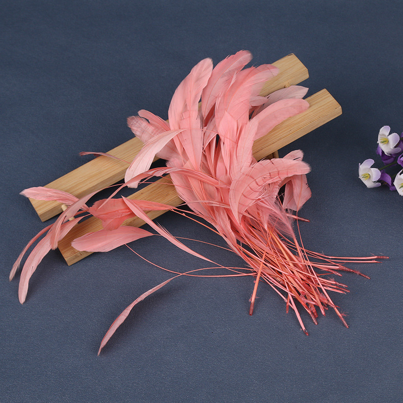 선셋 레드(약 50개)