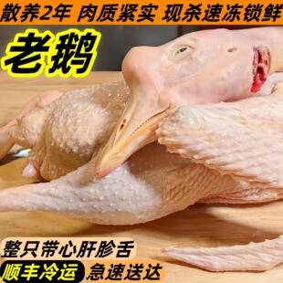 �r��ɢ�B���Z���Z���r�F�����Z����ֻ���ڷ��B����Z������l���]