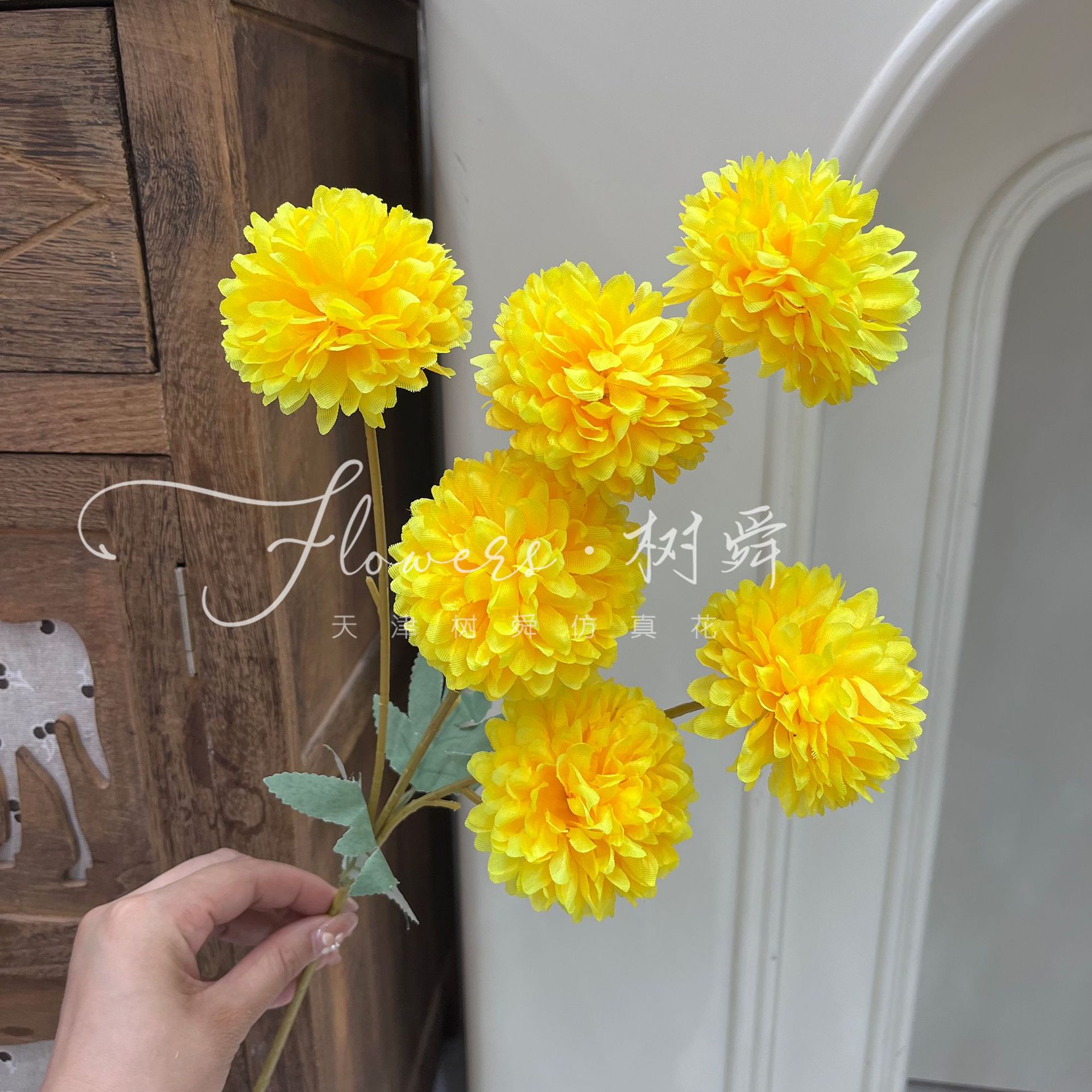 6구 국화 - 노란색