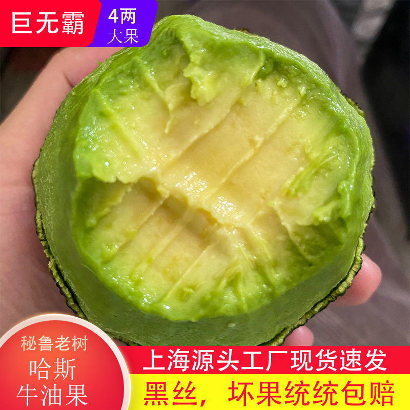 Peru Imported Hass Avocado Giant Hass Avocado Fresh Fruit Seasonal Freshly Picked Shanghai in Stock Fast Shipping
