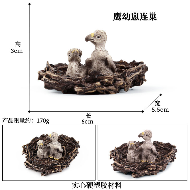 Eagle cub connects the nest eagle [0.017kg]