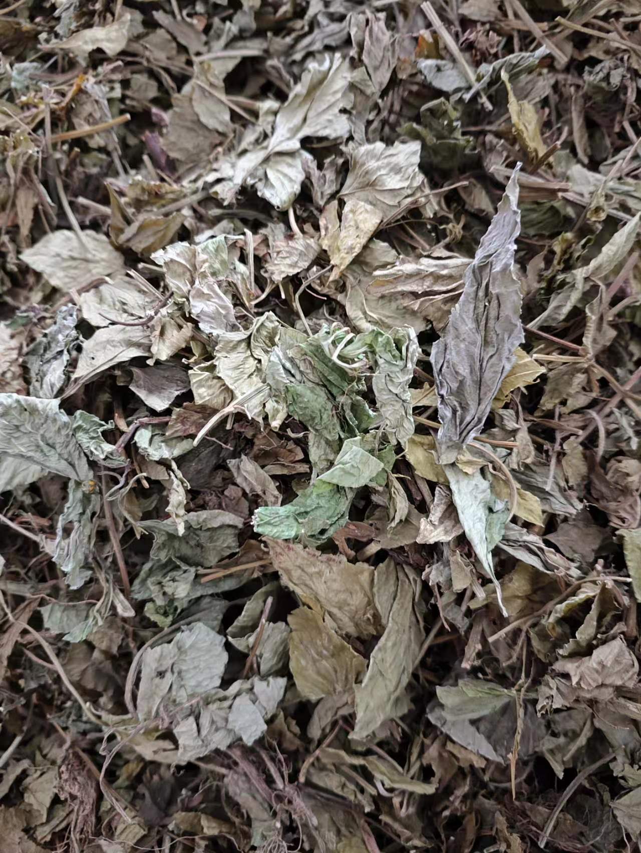 Ling Ling Xiang Powder (Lysimachia foenum-graecum) — Dried Aromatic Herb, 500g key features