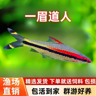 һü�����~���^�p�~�tü����С�͟Ꭷ�~ˮ��С������B�׻������