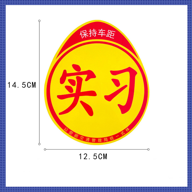 Mini internship [magnetic style]