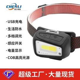 工作/检修灯;头灯头戴电筒;野营/露营灯