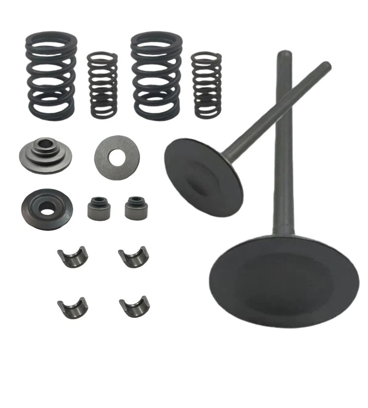 Motorcycle Valves Are Suitable for Honda Trx420 Ex Xr420R Sportrax420 Valve Oil Seal Gasket