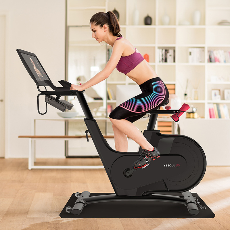 Yesoul Wild Beast Commercial Gym Magnetic Control Spinning Bike Home Exercise Bike V1Plus Aerobic Fat Burning