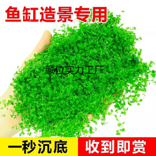 ��ֵ���b���ذ�����ˮſ�ذ��ձ��������~���쾰ƺ�����]���l