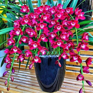 һ�����l�Gֲ���Ի����m�����ޥ�m �s�m ���^�m�����_���󻨻�