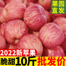 陝西冰糖心紅富士蘋果當季水果新鮮包郵整箱批3/5/10斤
