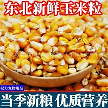 24���|����������10��ι�u�����ӼZ��~ᄾ��¼Z�����������ӼZ