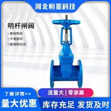 明杆闸阀 国标软密封弹性座封闸阀Z41XZ45X手动法兰铸铁闸阀