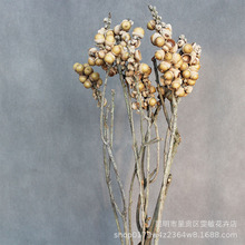 ɻɹNӻ Ҿb廨ĔzϏSֱN