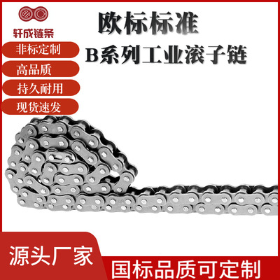 [厂家供应B系列加厚欧标宽腰工业链条传输耐磨输送传送精密输送机]