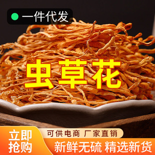 ���|�x�ݻ��oѬ���x�ݻ����x���r�Ҝ�ʳ��ʳ�þ������a��؛�����l