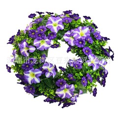 跨境亚马逊爆款新款牵牛花花环尤加利塑料花室内装饰批发厂家植物