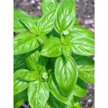 _շNӷòòݻļֲͥԺNҹN