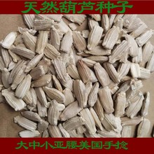 原产地批发天然大中小亚腰葫芦种子美国手捻葫芦种子
