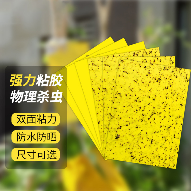 Insect Trap Board Manufacturer Wholesale Double-Sided Yellow Board Blue Board Greenhouse Special Insect Trap Board Strong Insect Trap Can Be Shipped on Behalf of Others