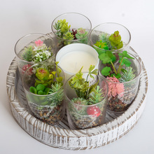 �������ֲ�ﲣ��ˮ�����Լٶ���ֲ�ﻨ�ܲ��ü�ͥ�k���ҔzӰ�b�