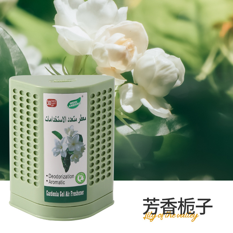 아로마 치자나무(녹색)